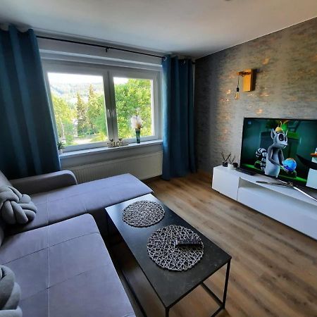 Orlicka Apartament Дужники Здрой Екстериор снимка