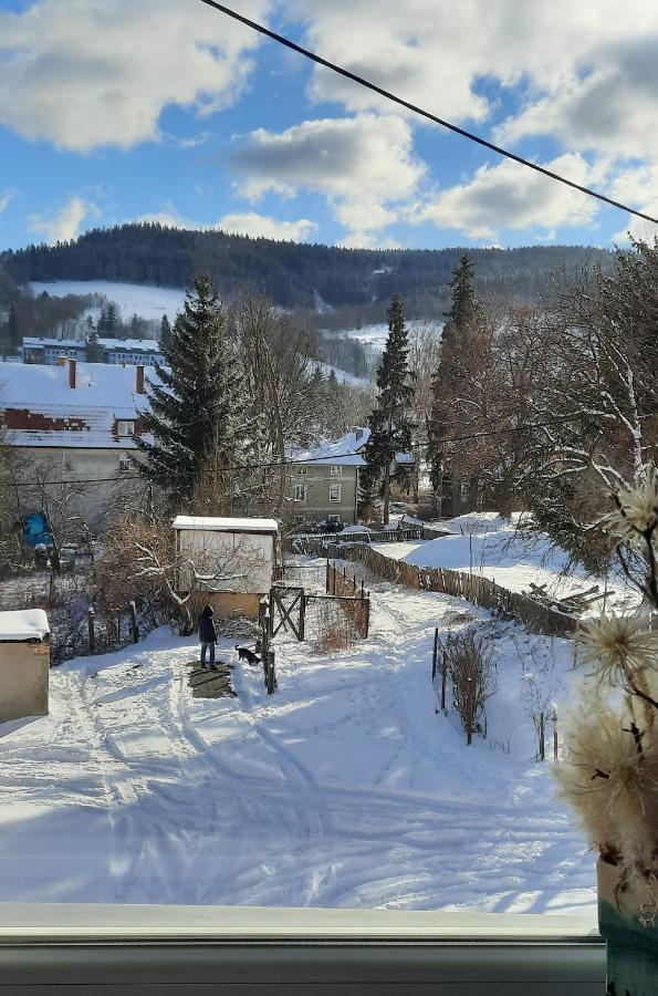 Orlicka Apartament Дужники Здрой Екстериор снимка